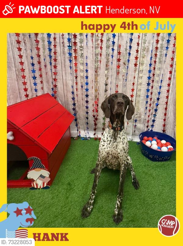 Lost Male Dog last seen E Horizon Ridge Pkwy and Ray Blvd Trail, Henderson, NV 89002