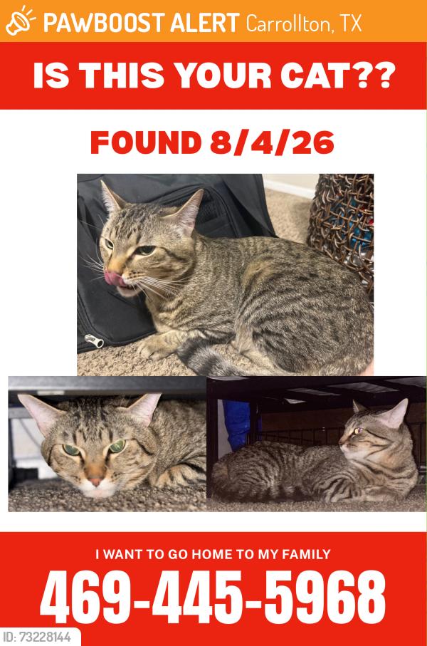 Found/Stray Male Cat last seen Old Denton Rd and Branch Hollow Dr, Carrollton, TX 75007