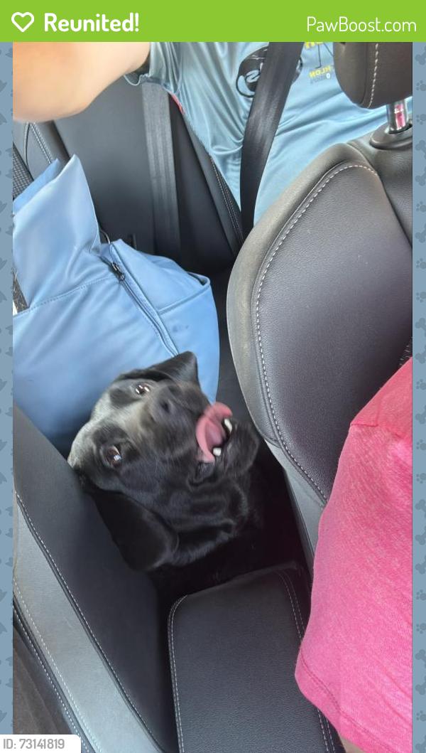 Reunited Unknown Dog last seen Frimley road, Warwick road, Ash Vale, England GU12 5PH