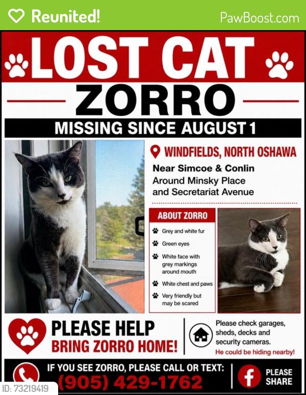 Reunited Male Cat last seen Minsky place and secretariat avenue, Oshawa, ON 