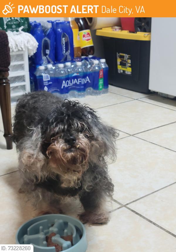 Found/Stray Male Dog last seen Kushner st, Dale City, VA 22193