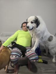 Reunited Male Dog last seen Pinwood est apmt, Albuquerque, NM 87110