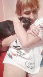 Lost Female Dog last seen End of universite, Mobile, AL 36609