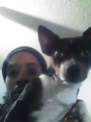 Reunited Male Dog last seen Near Village trail, Nashville, TN 37207
