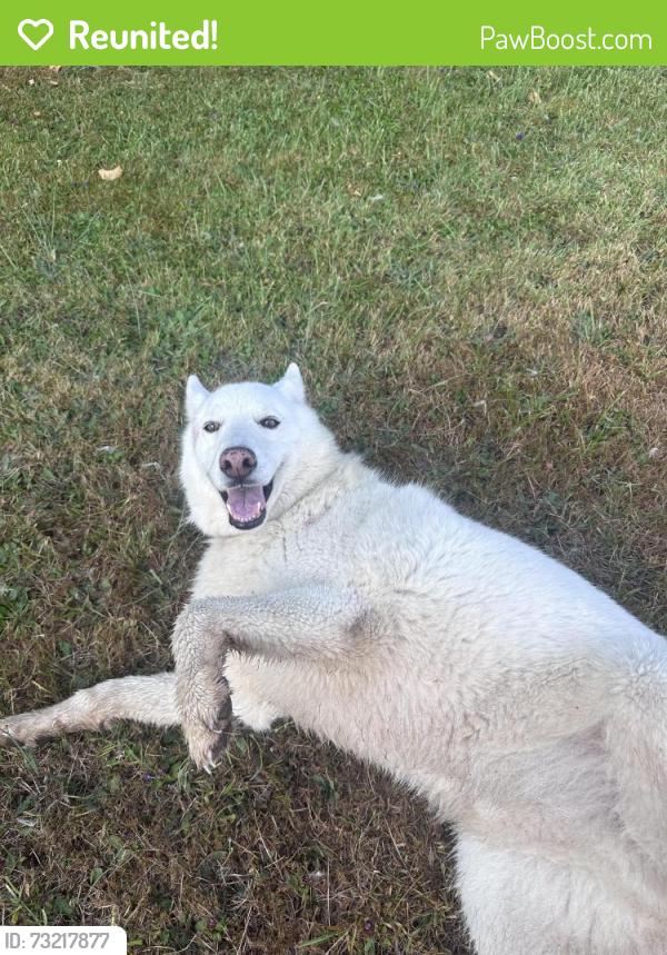 Reunited Unknown Dog last seen 29th, Ridgefield, WA 98642