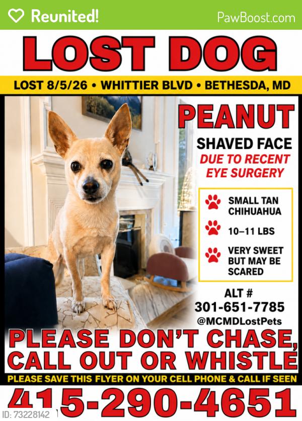 Reunited Male Dog last seen Near Whittier Blvd and Kirby Ln, Bethesda, MD 20817