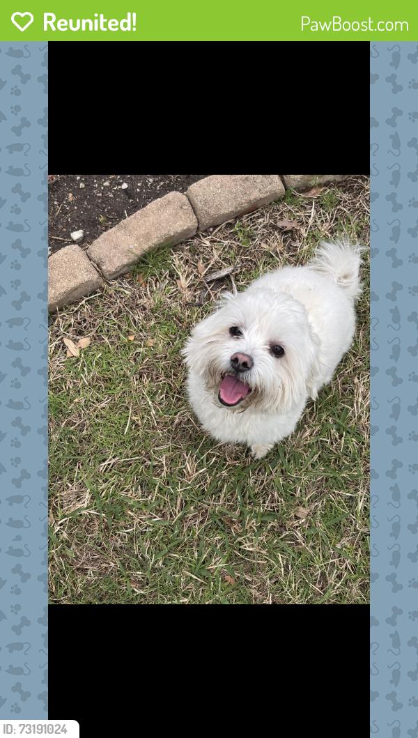 Reunited Male Dog last seen Hillcrest rd, Dallas, TX 75248