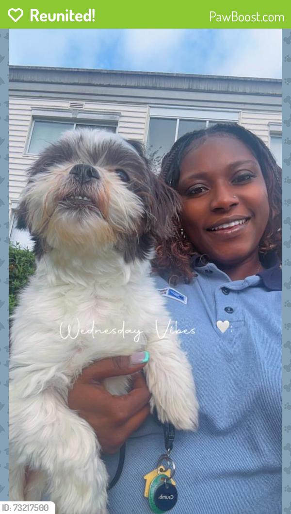 Reunited Male Dog last seen Kipling parkway, District Heights, MD 20747