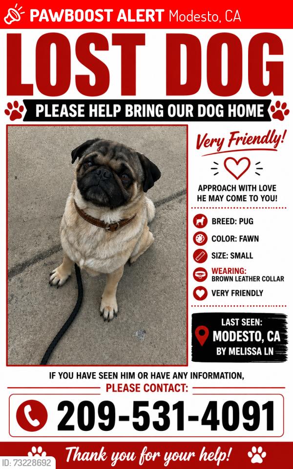 Lost Male Dog last seen Melissa ln, Modesto, CA 95355