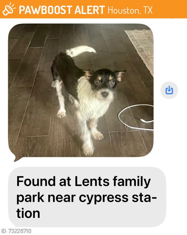 Found/Stray Male Dog last seen Cypres Park, Houston, TX 77090