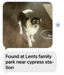 Found/Stray Male Dog last seen Cypres Park, Houston, TX 77090
