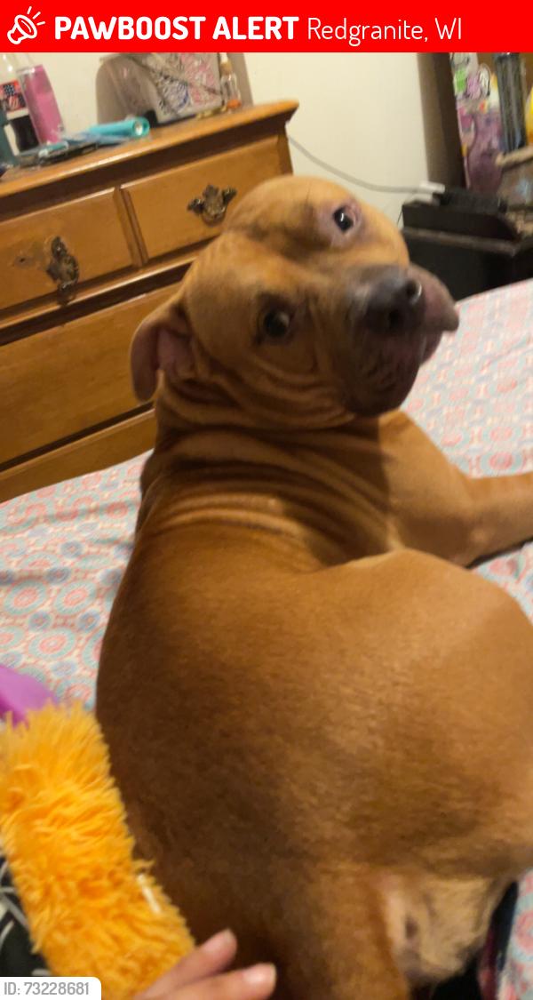 Lost Male Dog last seen intersection blackhawk and EE, Redgranite, WI 54970