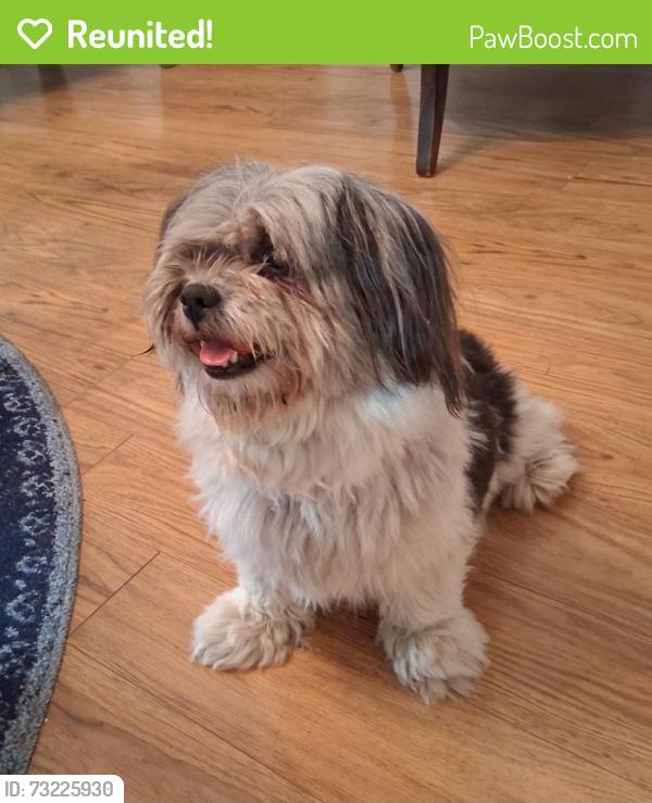 Reunited Female Dog last seen Deer Run Trail and Elliott, Rome, GA 30165