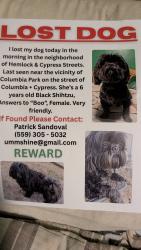 Lost Female Dog last seen Cypress and Columbia, Reedley, CA 93654