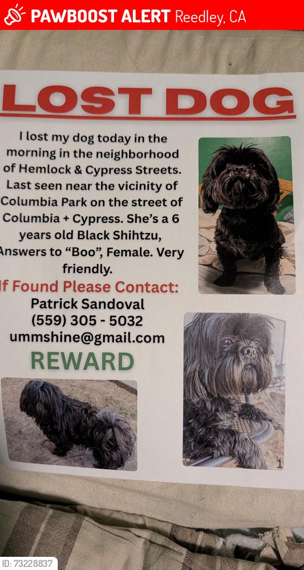 Lost Female Dog last seen Cypress and Columbia, Reedley, CA 93654