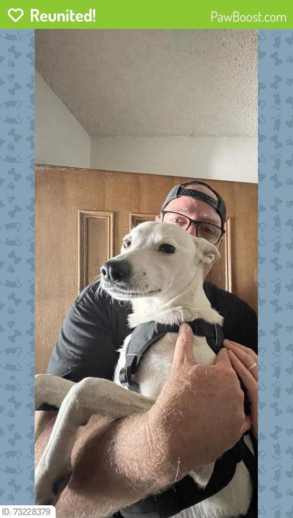 Reunited Female Dog last seen Petsmart on Sunrise and Arcadia in Citrus Heights, Citrus Heights, CA 95610