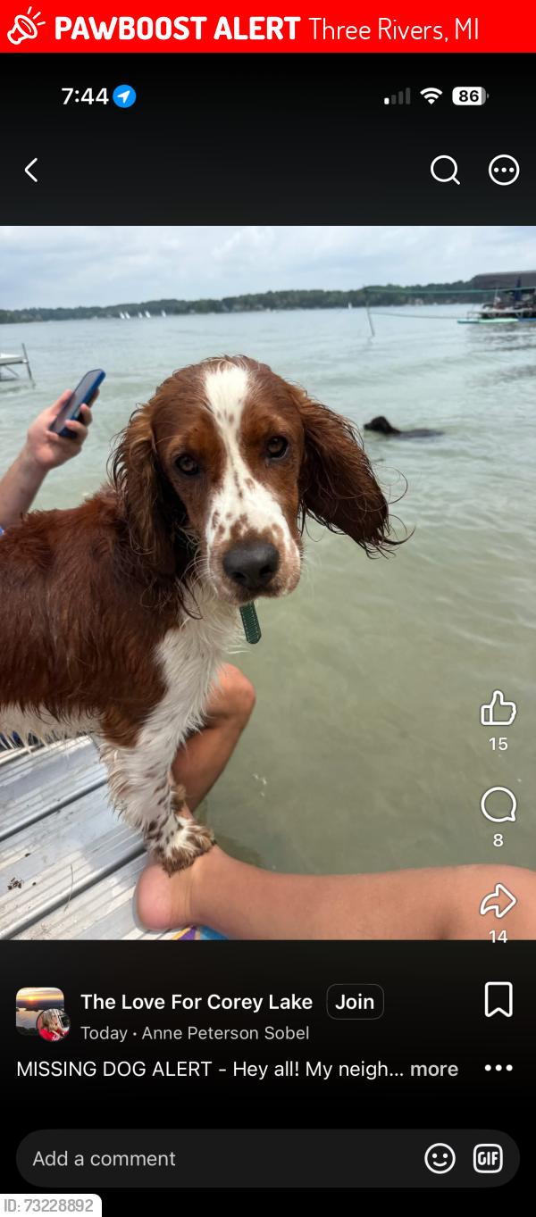 Lost Male Dog last seen By the hse sniffing around the yard, Three Rivers, MI 49093