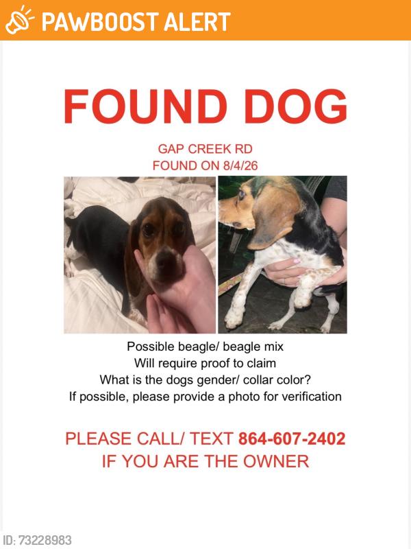 Found/Stray Female Dog last seen Between Gap Creek Church and Riverfalls Fire Department, Greenville County, SC 29661