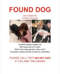 Found/Stray Female Dog last seen Between Gap Creek Church and Riverfalls Fire Department, Greenville County, SC 29661