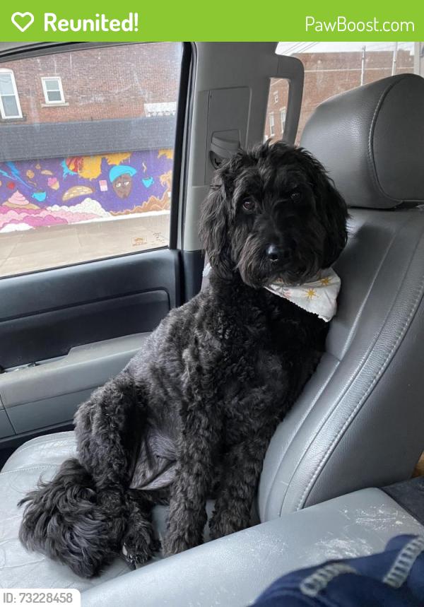 Reunited Female Dog last seen Peach St and Dorn Rd, Waterford, PA 16441