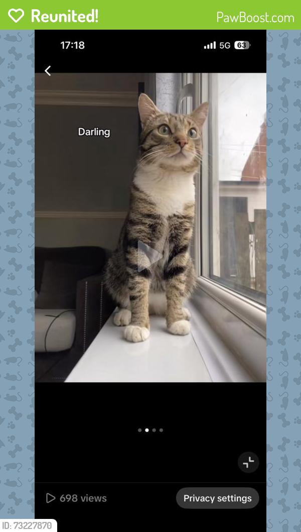 Reunited Male Cat last seen Cash ane Carry, Greater Manchester, England 