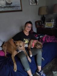 Lost Female Dog last seen Near West Mooresville road Minneapolis Indiana, Indianapolis, IN 46221