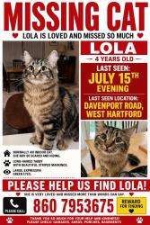 Lost Female Cat last seen Across Wolcott Elementary School Entrance, West Hartford, CT 06110