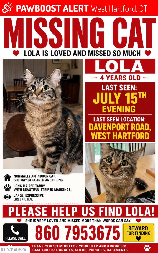 Lost Female Cat last seen Across Wolcott Elementary School Entrance, West Hartford, CT 06110