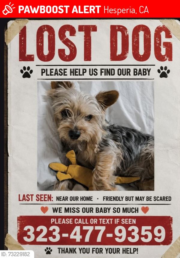 Lost Male Dog last seen Near 9th ave Hesperia, CA, Hesperia, CA 92345
