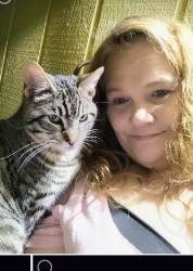 Lost Male Cat last seen Lincoln bovd, Oroville, CA 95966
