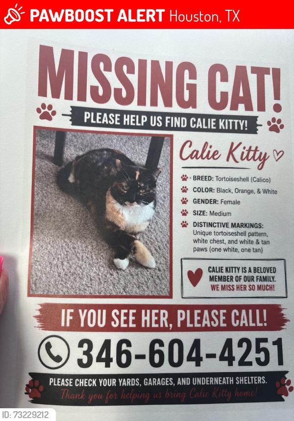 Lost Female Cat last seen Michael, Houston, TX 77017