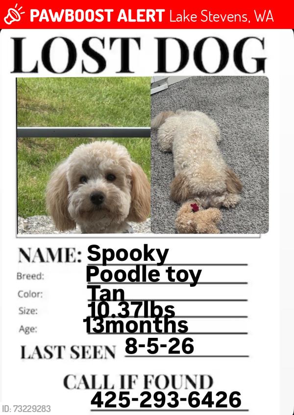 Lost Male Dog last seen Near home, Lake Stevens, WA 98258