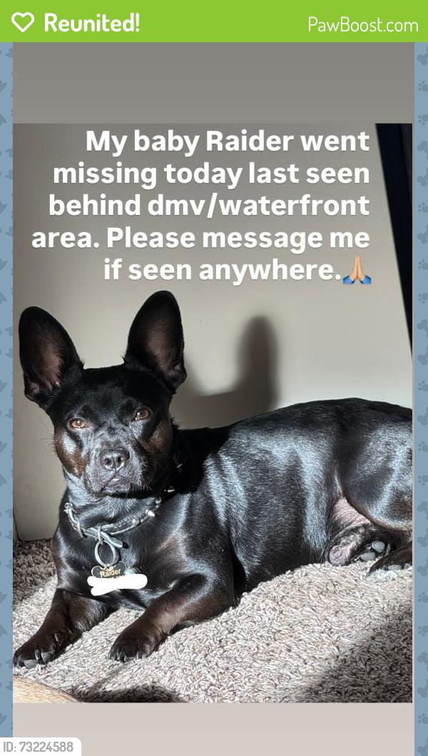 Reunited Male Dog last seen W Weber Ave, Stockton, CA, USA, Stockton, CA 95202