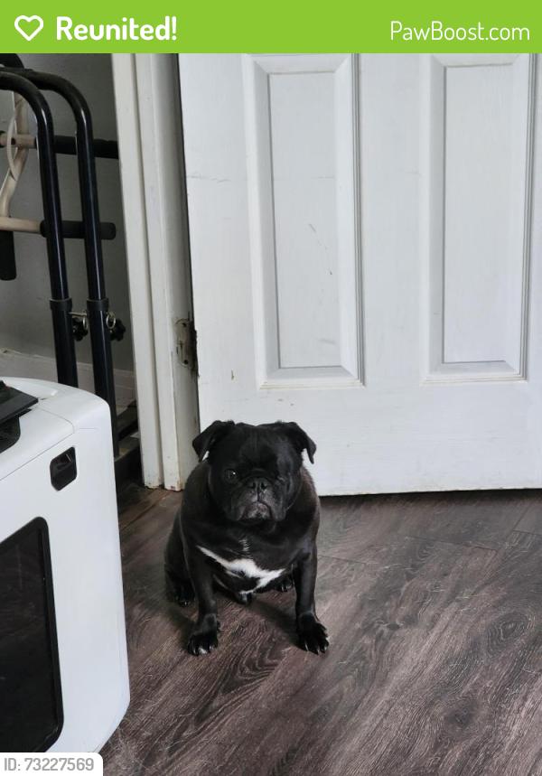 Reunited Male Dog last seen Little Elm Rd, Farmington, AR 72730