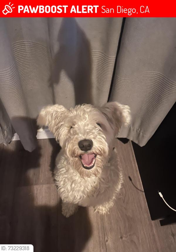 Lost Male Dog last seen Casey, San Diego, CA 92114