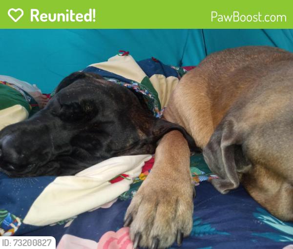 Reunited Male Dog last seen Winnavegas Area, Sloan, IA 51055