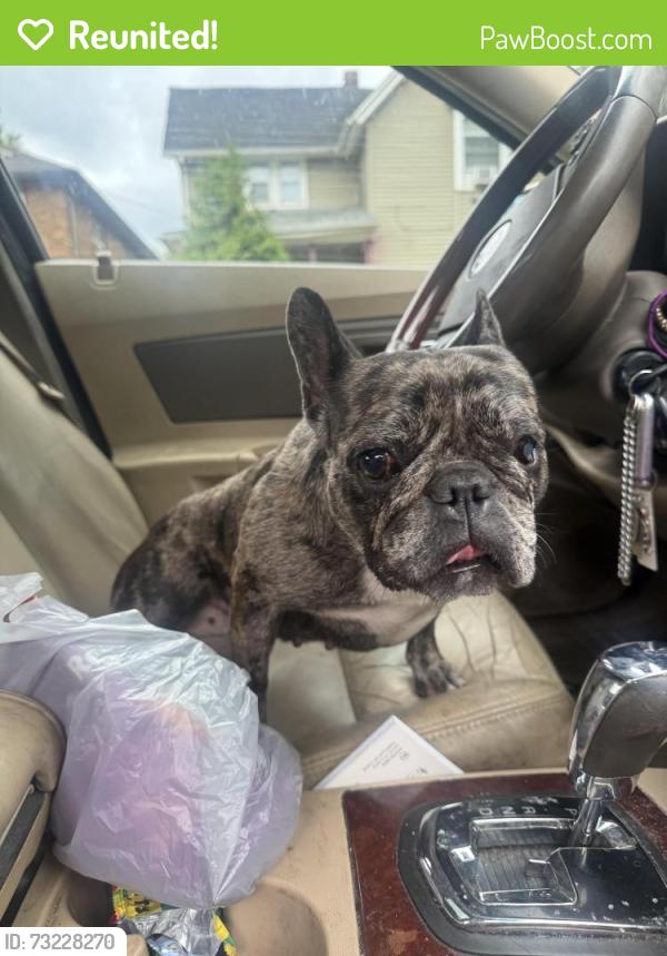 Reunited Unknown Dog last seen 12th ave Rockford IL 61104, Rockford, IL 61104