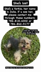 Reunited Female Dog last seen Near Nw 113th Ave Coral Springs FL 33065, Coral Springs, FL 33065