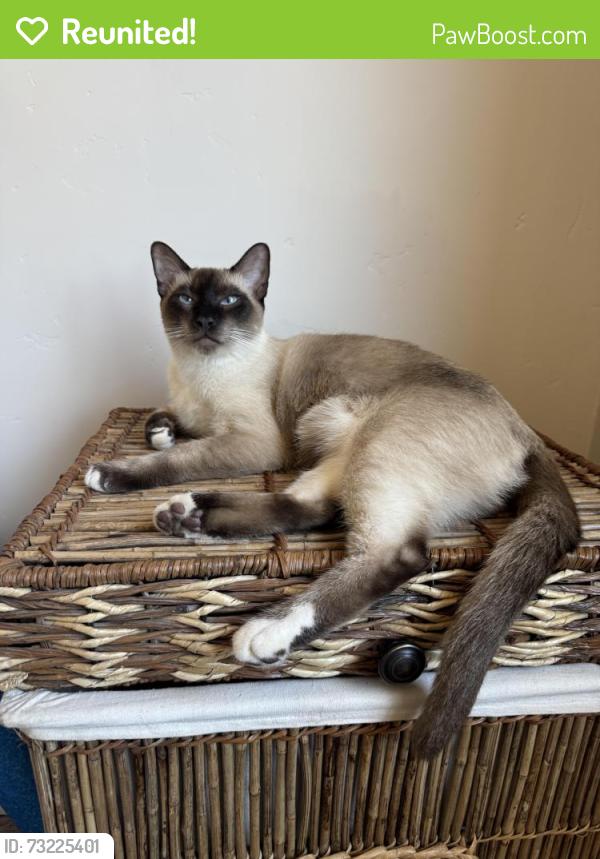 Reunited Male Cat last seen Near Via Barlogio, El Dorado Hills, CA 95762, USA, El Dorado Hills, CA 95762