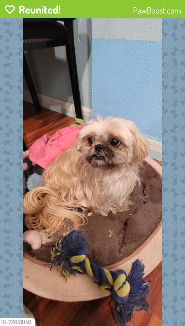 Reunited Female Dog last seen Senter and Coyote, San Jose, CA 95111