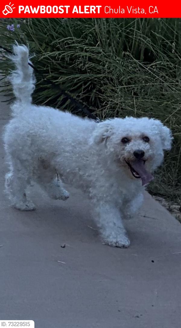 Lost Male Dog last seen Near santa alicia avenue, Chula Vista, CA 91913