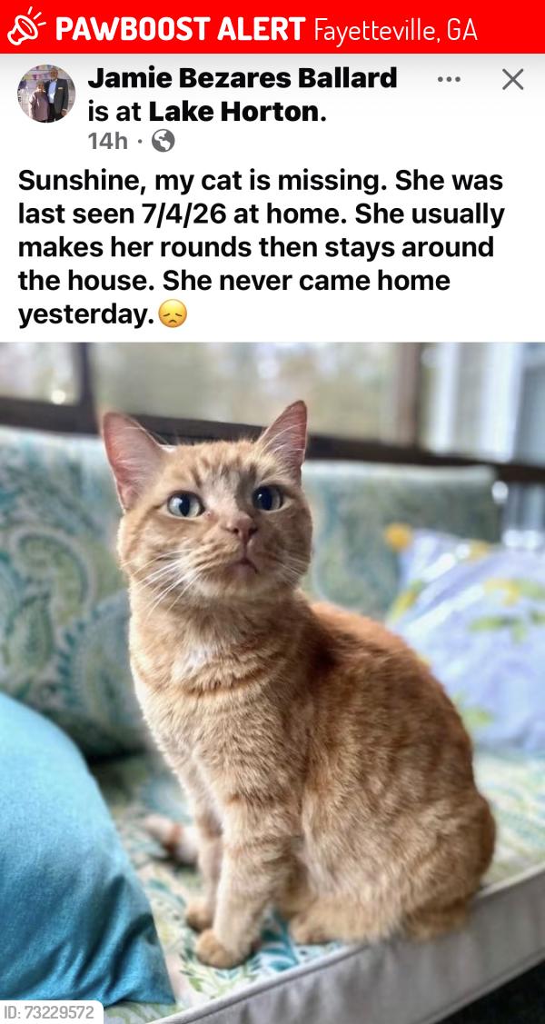 Lost Female Cat last seen Lake Horton Area, Fayetteville, GA 30215