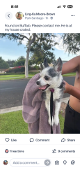 Reunited Male Dog last seen Buffalo /Fairhaven, Santa Ana, CA 92705