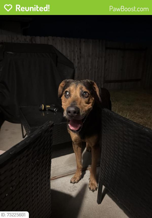 Reunited Male Dog last seen Moore Rd, Montgomery County, TX 77354