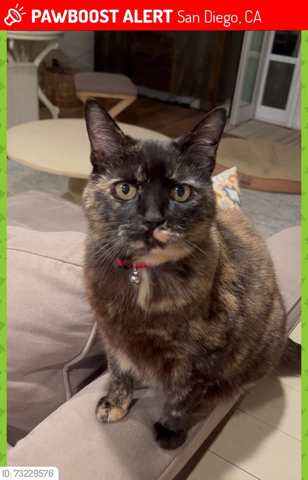 Lost Female Cat last seen Avenida Andorra, La Jolla, San Diego, CA 92037