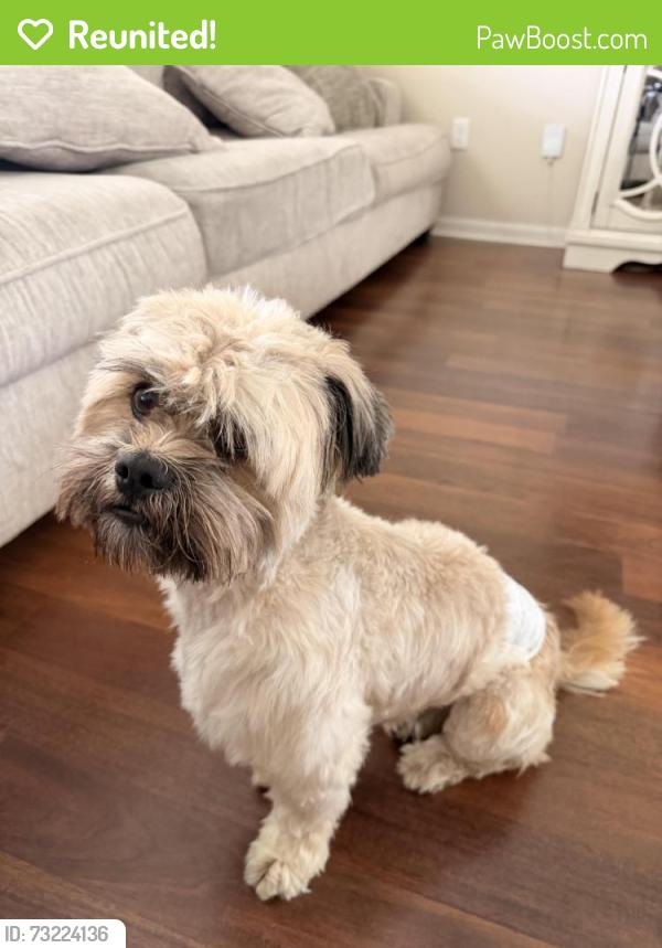 Reunited Male Dog last seen Cielo Ranch, San Antonio, TX 78218, USA, San Antonio, TX 78218
