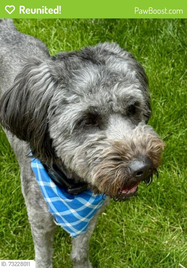 Reunited Unknown Dog last seen NW 31st & Quartz, Camas, WA 98607