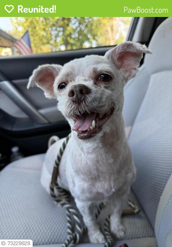 Reunited Male Dog last seen Pecan Ave, Orangevale, CA 95662