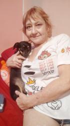 Lost Female Dog last seen Cottage Hill and University area, Mobile, AL 36609