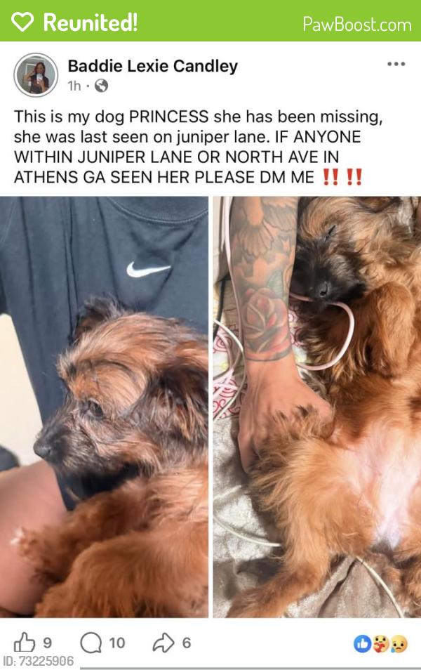 Reunited Female Dog last seen Near juniper lane, Athens, GA 30601